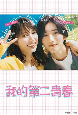 莆田seo优化公司